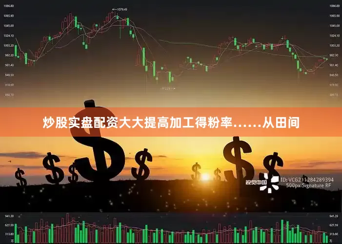 炒股实盘配资大大提高加工得粉率……从田间