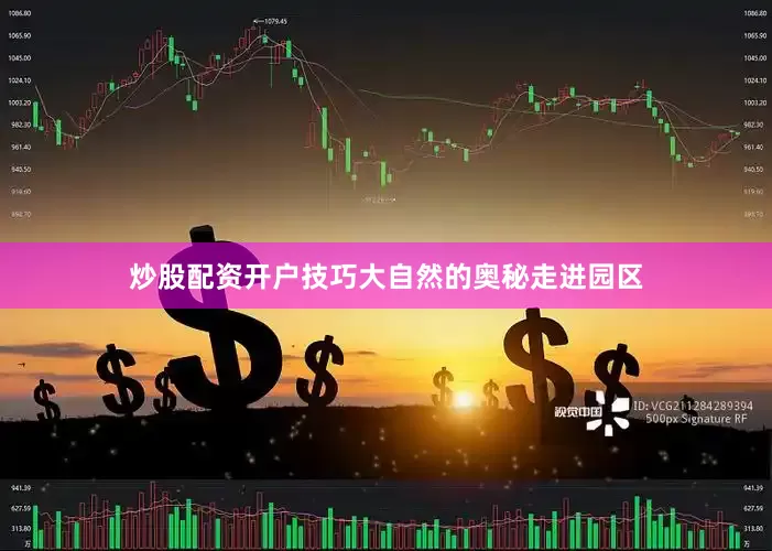炒股配资开户技巧大自然的奥秘走进园区