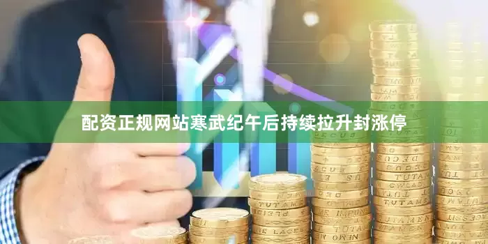 配资正规网站寒武纪午后持续拉升封涨停