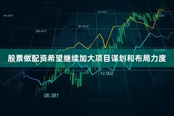 股票做配资希望继续加大项目谋划和布局力度